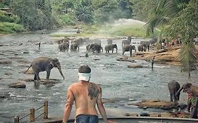 Hotel Elephant Bay